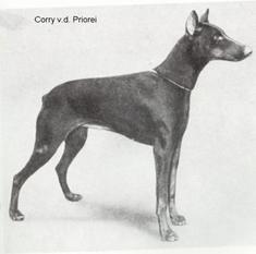 Corry von der Priorei Corry von der Priorei