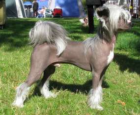Absolute Souls Micro Tiny Wow Absolute Souls Micro Tiny Wow