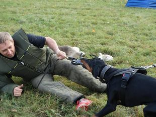 Demon European K9 training base Demon European K9 training base