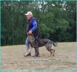 Arny vom Hochsolling Arny vom Hochsolling