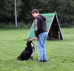 Boomer (Diederley) Boomer (Diederley)