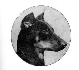Edith von Hammaburg Edith von Hammaburg