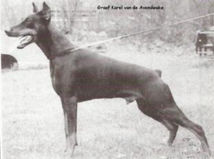 Graaf Karel van de Avondwake Graaf Karel van de Avondwake