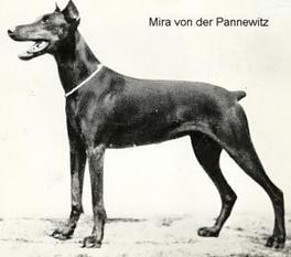Mira von Pannewitz Mira von Pannewitz
