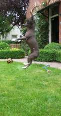 Happy Dancing Jazzy Jones Happy Dancing Jazzy Jones