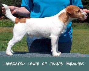 Liberated Lewis of Jack's Paradise Liberated Lewis of Jack's Paradise