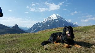 Black Jack Wächter der Zukunft Black Jack Wächter der Zukunft