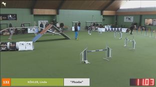 Briska vom Moorfeld Briska vom Moorfeld