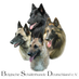 Belgische Schäferhunde Deutschland e.v. (BSD)