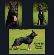 Aik von der Ofdener Schlucht Aik von der Ofdener Schlucht