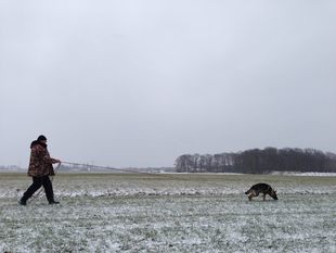 Daxy van de Kromme Elleboog Daxy van de Kromme Elleboog