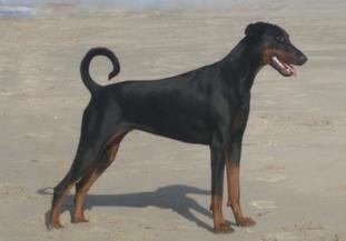 Prinses Patty van Sajerca-Borgh Prinses Patty van Sajerca-Borgh