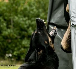 Grimm vom Heiligental Grimm vom Heiligental