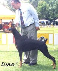 von Rucker Black Uma von Rucker Black Uma