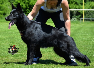 Queeny Orrylordblack Queeny Orrylordblack
