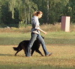Blommaert Anna