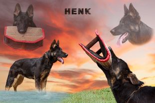 Henk de Lupo Henk de Lupo