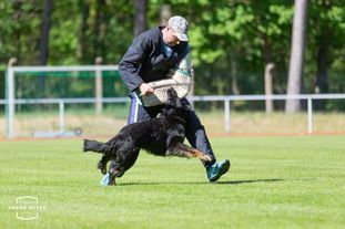 Kapuze vom Wolfsweiher Kapuze vom Wolfsweiher