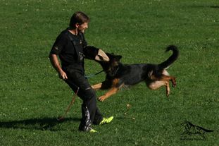 Adara (kleine Wolfseele) Adara (kleine Wolfseele)