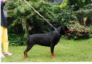 Pia von der Gruberheide Pia von der Gruberheide
