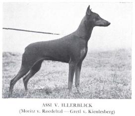 Assy vom Illerblick Assy vom Illerblick