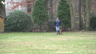 Bandido von der Spielkiste Bandido von der Spielkiste