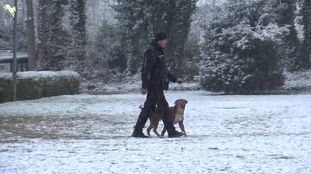 Bandit (Walther) Bandit (Walther)