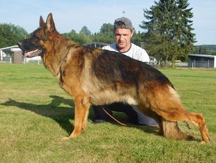 Quinlan von Dakota Quinlan von Dakota