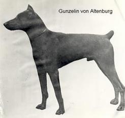 Gunzelin von Thüringen-ronneburg-jägerhof Gunzelin von Thüringen-ronneburg-jägerhof