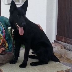 Unkas Black Chabet Unkas Black Chabet