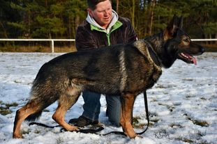 Jefe vom Wolfsweiher Jefe vom Wolfsweiher