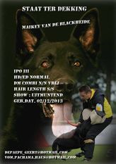Maikey van de Blackheide Maikey van de Blackheide