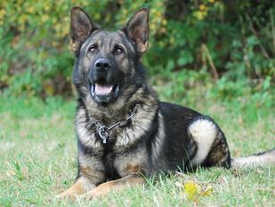 Jac von Büren Jac von Büren