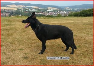 Nina vom schönen Blick Nina vom schönen Blick