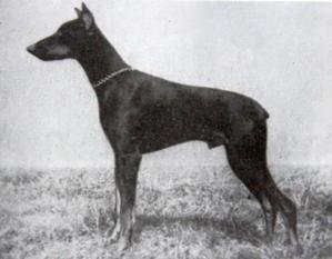 Asso von der Barlinge Asso von der Barlinge