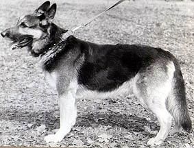 Vanbek (Makarenko) Vanbek (Makarenko)