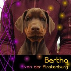 Bertha von der Piratenburg Bertha von der Piratenburg