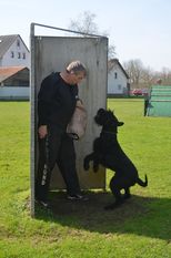 Frits von Elberfeld Frits von Elberfeld