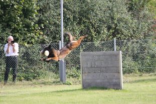 Malinoid Attack Malinoid Attack