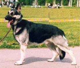 Almaz RKF R1457189 (Novozhilova) Almaz RKF R1457189 (Novozhilova)