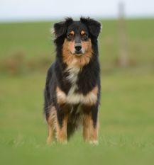 Kisha (Müller) Kisha (Müller)