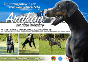 Arakan vom Haus Untersberg Arakan vom Haus Untersberg