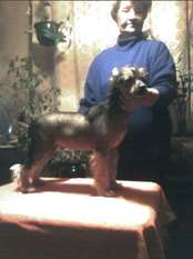 The Little Negro Imperija The Little Negro Imperija