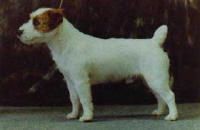 Malung/JR Napoleon Malung/JR Napoleon