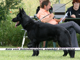 Xato vom Schindergraben Xato vom Schindergraben