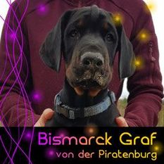 Bismarck Graf von der Piratenburg Bismarck Graf von der Piratenburg