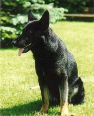 Lee von der schwarzen Nister Lee von der schwarzen Nister