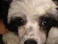 Hi-life's I'm Sirius For Timberwood Hi-life's I'm Sirius For Timberwood