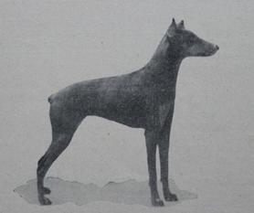 Kleta von der Schwarzwaldperle Kleta von der Schwarzwaldperle