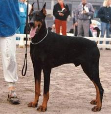 Hastur von Condor Hastur von Condor